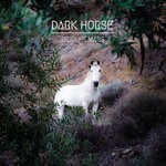 cover: Biggi Hilmars - Dark Horse