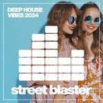 cover: Various - Deep Synthwave House 2024