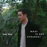 cover: Tashi Wada - What Is Not Strange?