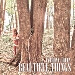 cover: Anthony Green - Beautiful Things (Deluxe - Explicit)