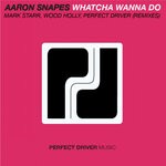 cover: Aaron Snapes - Whatcha Wanna Do