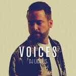 cover: Dj Licious - Voices