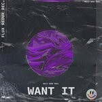 cover: Holly Wood - Want It