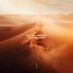 cover: Sultan + Shepard - Endless, Dawn