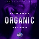 cover: Stokley - Organic (DjSilverFoxx Rework)