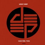 cover: Lesny Deep - Can Feel You