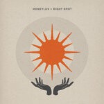 cover: HoneyLuv - Right Spot