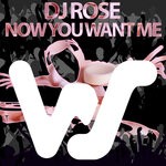 cover: DJ Rose - Now You Want Me