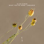 cover: Alice DiMar - What You've Done / Dreamin'