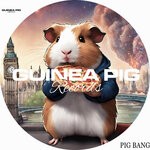 cover: Vincenzo Lella - Pig Bang