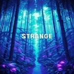 cover: Vincent Morton - Strange