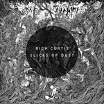 cover: Rich Curtis - Slices Of Dust