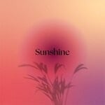 cover: Edward Olson - Sunshine