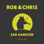 cover: Rob & Chris - Sad Hamster (TikTok Mix)