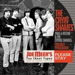 cover: The Cryin' Shames - Please Stay