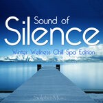 cover: Various - Silence (Sound Of Winter Wellness Chill Spa Edition)