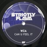 cover: WZA - Can U Feel It