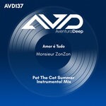 cover: Monsieur ZonZon - Amor E Tudo (Pat The Cat Summer Instrumental Mix)