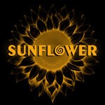 cover: Lifetheory - Sunflower