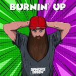 cover: Sandro Bani - Burnin' Up