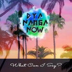 cover: DyaNangaNow - What Can I Say?