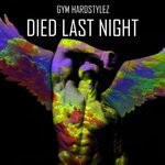 cover: Gym Hardstylez - Died Last Night (Hardstyle)