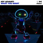 cover: Joy Levanti - What You Want