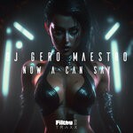 cover: DJ Gero Maestro - Now A Can Say