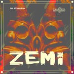 cover: Dj Stingray - Zemi