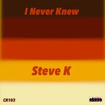 cover: Steve K - I Never Knew