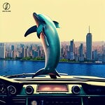 cover: Mr.kay - The Dolphin