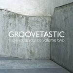 cover: Various - Groovetastic, Vol 2 - Tech House Sounds