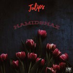 cover: Hamidshax - Tulips