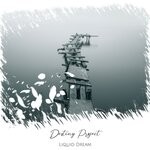 cover: Liquid Dream - Destiny Project (Radio Edit)