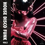 cover: Various - House Disco Funk Vol 2