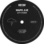 cover: WAPO Jije - City Storm