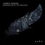 cover: James Organ - Running With The Wolves