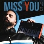 cover: Sina Tava - Miss You