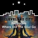 cover: Bri Buckle - Where Did The Soul Go