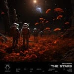 cover: Decabrsky - The Stars