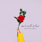 cover: Samantha Harvey - Don't Call It Love