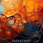 cover: Papaverhof - Flexxin On Acid House