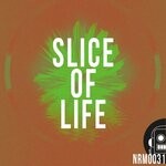 cover: Carlos Barbero|Hiro Hernandez - Slice Of Life