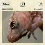 cover: Deekembeat - Byllonaty