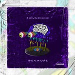 cover: SoundNine - Because