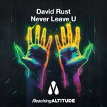 cover: David Rust - Never Leave U