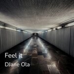 cover: DJane Ola - Feel It