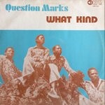 cover: The Question Marks - What Kind?