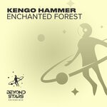 cover: Kengo Hammer - Enchanted Forest