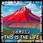 cover: Fitzer - This Is The Life